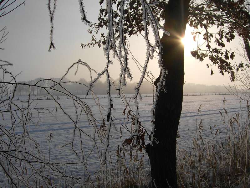 weihnachten2009_m